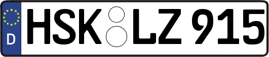 HSK-LZ915