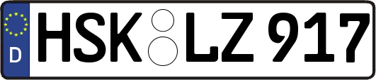 HSK-LZ917