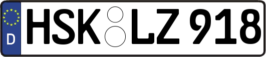 HSK-LZ918