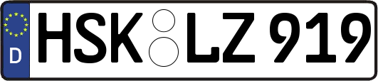 HSK-LZ919