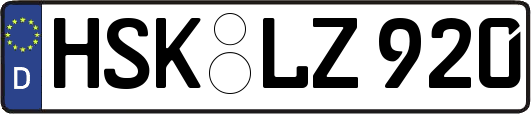HSK-LZ920