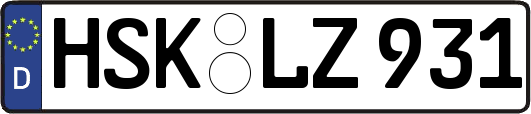 HSK-LZ931