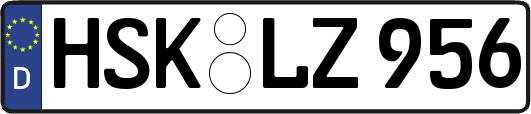 HSK-LZ956