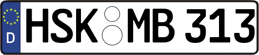 HSK-MB313