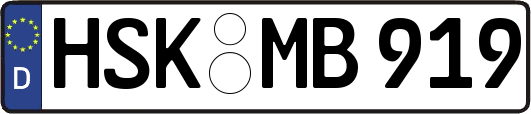 HSK-MB919