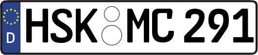 HSK-MC291