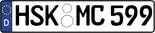 HSK-MC599