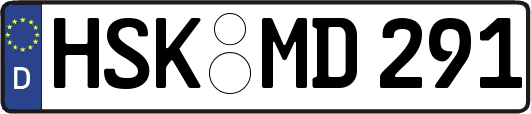 HSK-MD291
