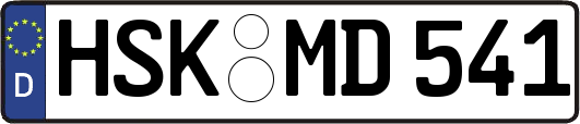 HSK-MD541