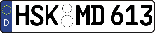 HSK-MD613