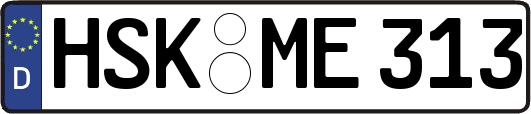 HSK-ME313