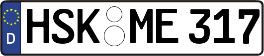 HSK-ME317