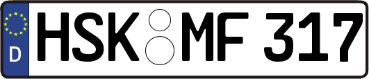 HSK-MF317