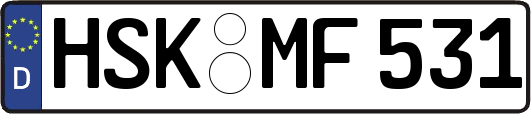 HSK-MF531