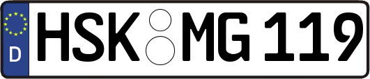 HSK-MG119