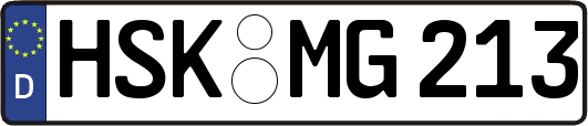 HSK-MG213