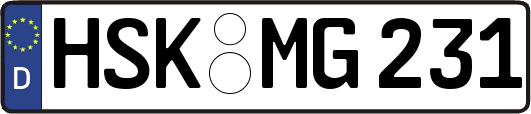 HSK-MG231