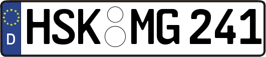 HSK-MG241