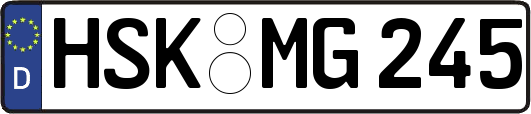 HSK-MG245