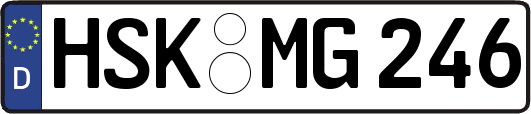 HSK-MG246