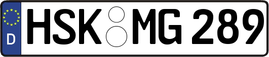 HSK-MG289