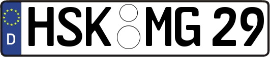 HSK-MG29