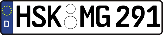 HSK-MG291