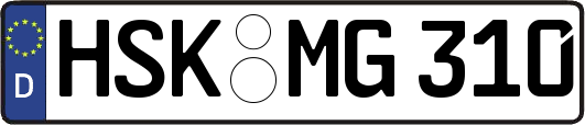 HSK-MG310