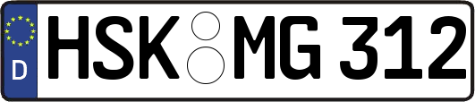 HSK-MG312