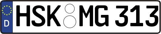 HSK-MG313