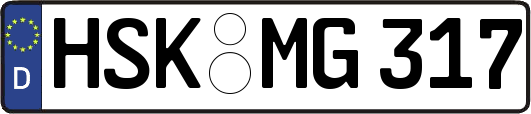 HSK-MG317
