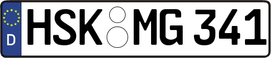 HSK-MG341