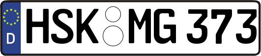 HSK-MG373
