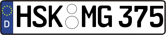 HSK-MG375