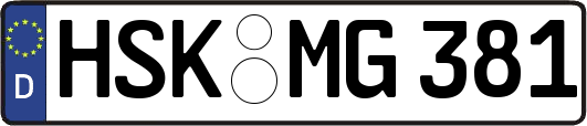 HSK-MG381