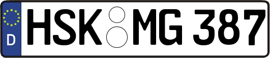 HSK-MG387