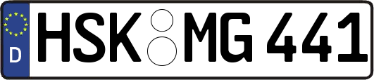 HSK-MG441