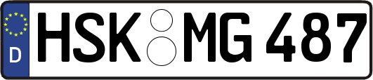 HSK-MG487