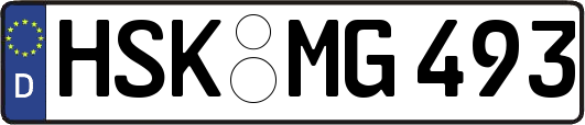 HSK-MG493