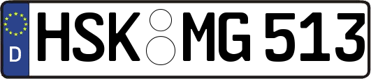 HSK-MG513