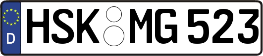HSK-MG523