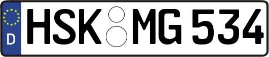 HSK-MG534