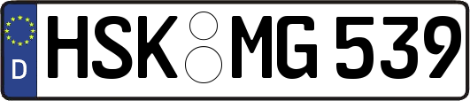 HSK-MG539