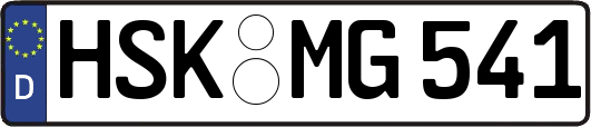 HSK-MG541
