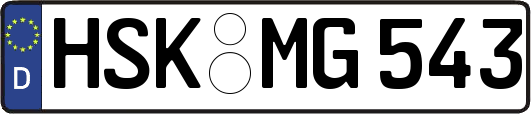 HSK-MG543