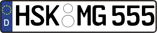 HSK-MG555