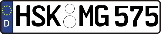 HSK-MG575