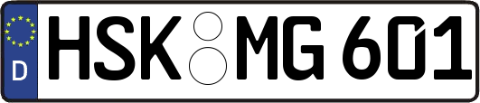 HSK-MG601