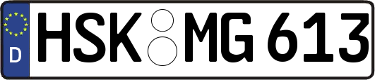 HSK-MG613