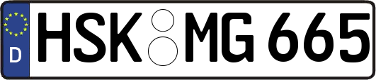 HSK-MG665